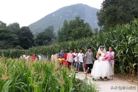 河南山村娶亲：穿婚纱蒙盖头踩泥巴走田埂，这场景很少见图片