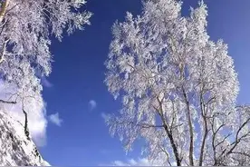 马上到数九寒冬，“数九”怎么数？什么时候最冷？图片