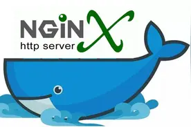 Docker实战008：docker部署nginx项目详解图片