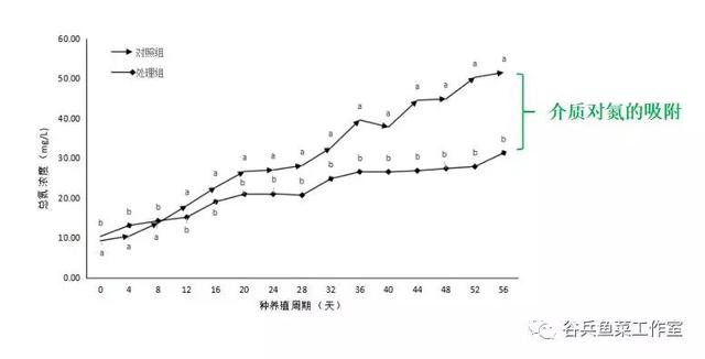 鱼菜共生植物缺素新认知（续篇）