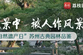 「苏州古典园林品鉴」拙政园：天下园林之母图片