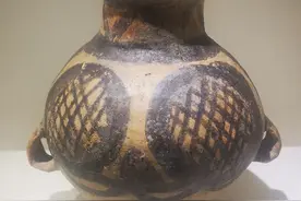 贾浅浅的诗一记超越时空的发现图片