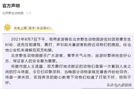 动物会模仿人类打架？前北京动物园明星饲养员：打架正常，拉隔断门让空间更大比安慰重要图片