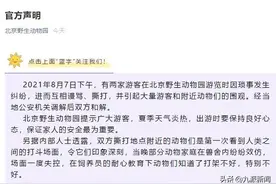 动物会模仿人类打架？前北京动物园明星饲养员：打架正常，拉隔断门让空间更大比安慰重要图片