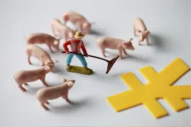 信阳房地产人的终点，也许就是养猪图片