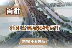 留浙过年，一起逛gai！浙江公布首批高品质步行街图片