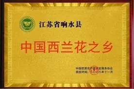 江苏响水：现代农业铺展乡村振兴多彩画卷图片