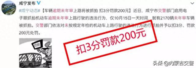 车辆逾期未检交罚款,车辆逾期未检交罚款怎么处理 配图03