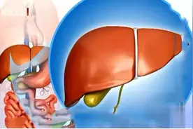 动物内脏到底健不健康？记住6个点，不但能放心吃，还能收获别样的好处图片