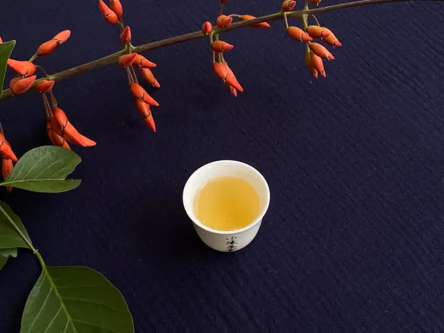 白茶不一定是白色，可是变黑一定有问题
