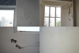 南北方"返潮季"来袭！年年来，年年烦，墙面发霉怎么办？图片