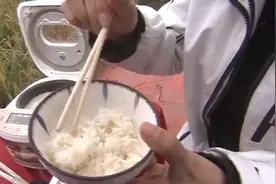 第三代杂交稻好吃吗？记者现场煮饭试吃图片