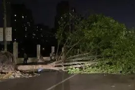 江苏南通昨晚遭遇极端灾害天气 造成11人死亡图片
