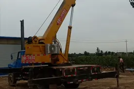 硬核！儿子开吊车将母亲举高摘枣，网友：被宠上天的老妈图片