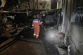 蟒蛇太大袋子装不下！深圳消防抓蛇遇尴尬，巨蟒为何屡屡进家门？图片