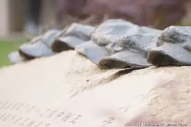 老人送八个儿子参加红军，全部牺牲疆场图片