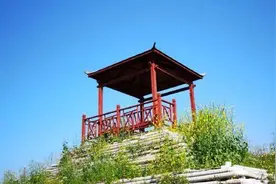 手诊分析：小手指短、弯曲、细长，揭示了什么？图片