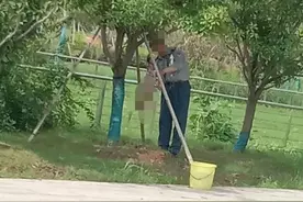 老校长养了五年的流浪狗，新校长刚上任就把它“处理”掉了…图片