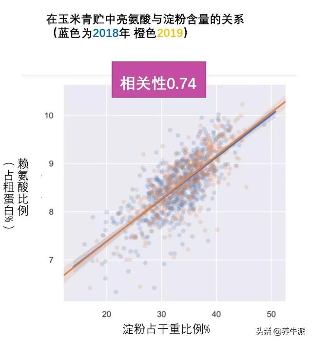 玉米青贮蛋白水平知多少