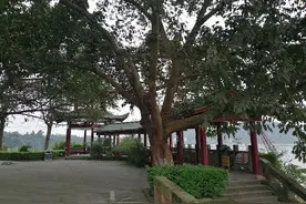 那个时候（二十五）图片