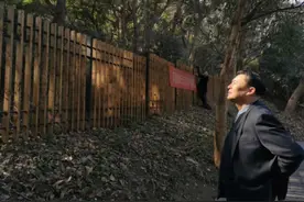 发掘20余年只为寻找一个答案：南宋皇城在哪儿图片