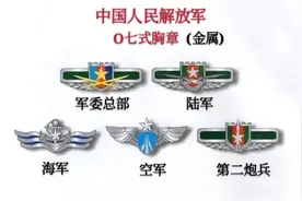 中国人民解放军军服胸章系列O七式和一五式(图)图片