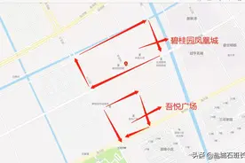 碧桂园凤凰城，21号楼开盘火爆图片