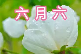 今天六月初六，下雨好不好？这4个农谚俗语能知晓图片