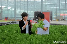 向匠心致敬 为品质坚守——记卓正控股集团总经理、卓正国际酒店执行董事辛红芳图片