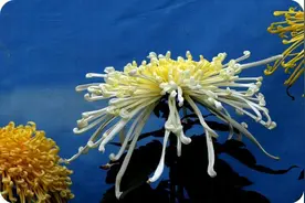 男人也很脆弱，女人要懂男人的这些弱点？图片