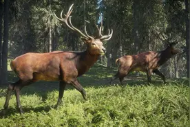 超级养老休闲的狩猎游戏，让你体验真实的打猎氛围图片