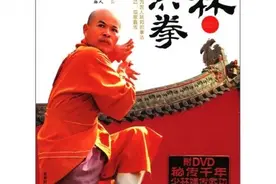 少林大洪拳概说、动作名称及演练图片