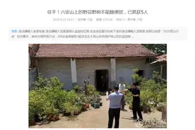 山上遇到这10种野花别乱挖，挖了可能会坐牢图片