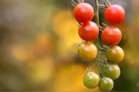 12星座的七情六欲有多少？你知道吗？图片