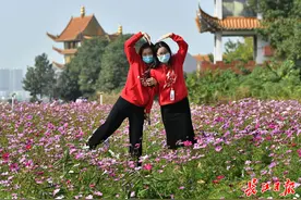 又是一个大晴天，但武汉最低温在悄悄下降图片