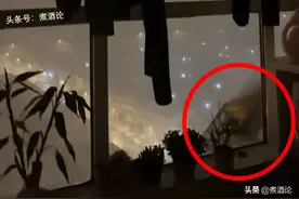 女子住24楼半夜被敲窗声惊醒，窗外一团黑影飘荡，最后哭笑不得图片
