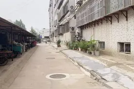 “创”出正能量，养成好习惯！图片