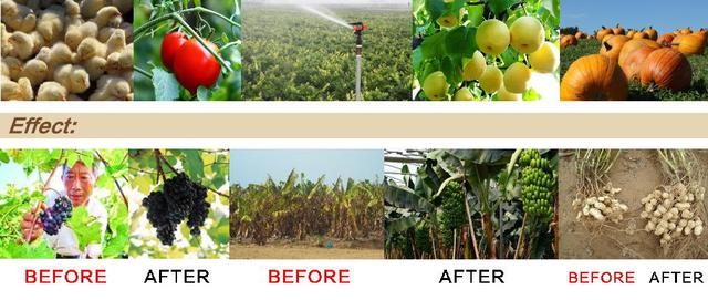 姘ㄥ熀閰稿師娑?娴撶缉姘ㄥ熀閰告恫浣撹偉 娑蹭綋钀ュ吇鑲? onerror=