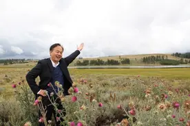 独特壮观的黄石公园图片