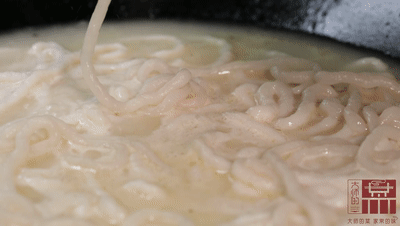 花胶老鸽汤需要放血 2026年花胶老鸽汤需要放血炖吗