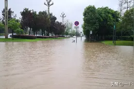 成都锦江河水暴涨，市民带小孩河边捞鱼，太危险图片