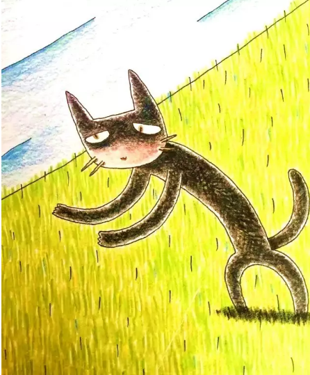 绘本推荐 |《虎斑猫和黑猫》一个温暖人心的友情故事