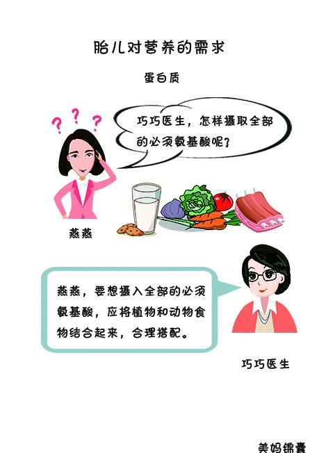 怎样摄取全部的必需氨基酸？