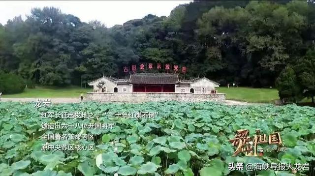 学习强国“每日一曲”，今天推荐龙岩《采茶扑蝶》