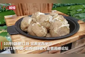 一颗土豆能吃出什么花样？甘肃定西竟有逾百种操作图片