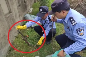 宠物蟒蛇闯入绿化带，会攻击人吗？遇到了怎么办到底能不能打？图片