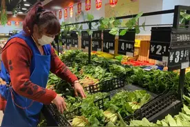 市场4种常见的激素菜，菜贩子自己从来都不吃，你最常吃哪一种？图片