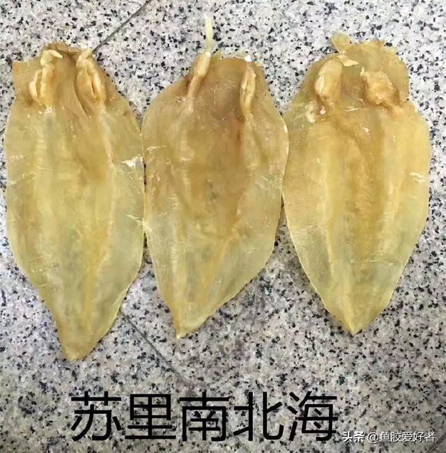 苏里南鱼胶母鱼胶怎么样 2026年苏里南鱼胶好不好