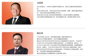 中国平安保险（集团）股份有限公司管理团队图片