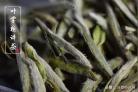 白毫银针要怎么保存？也是有讲究的图片